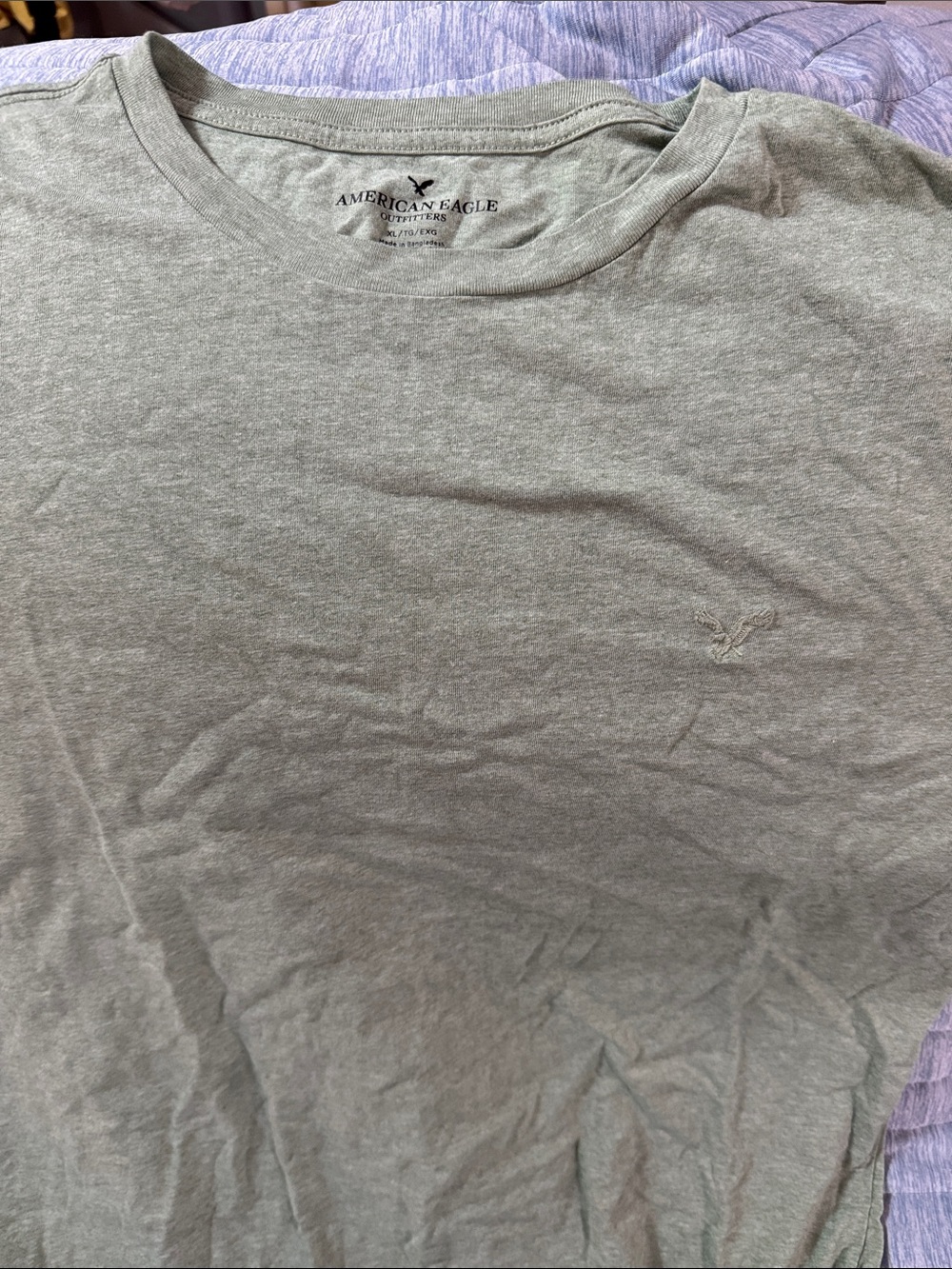 American Eagle Outfitters Light Gray Crewneck Short Sleeve Tee